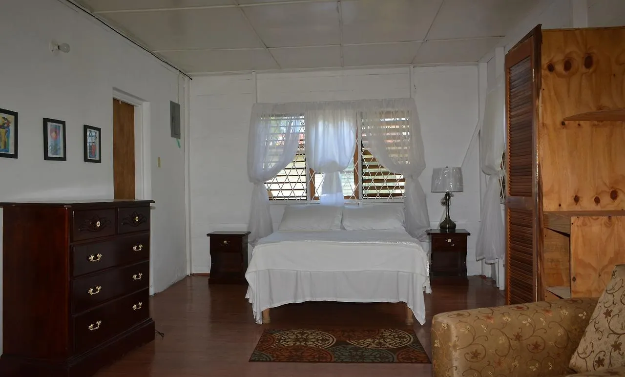 Cozy Coco Guest House Negril