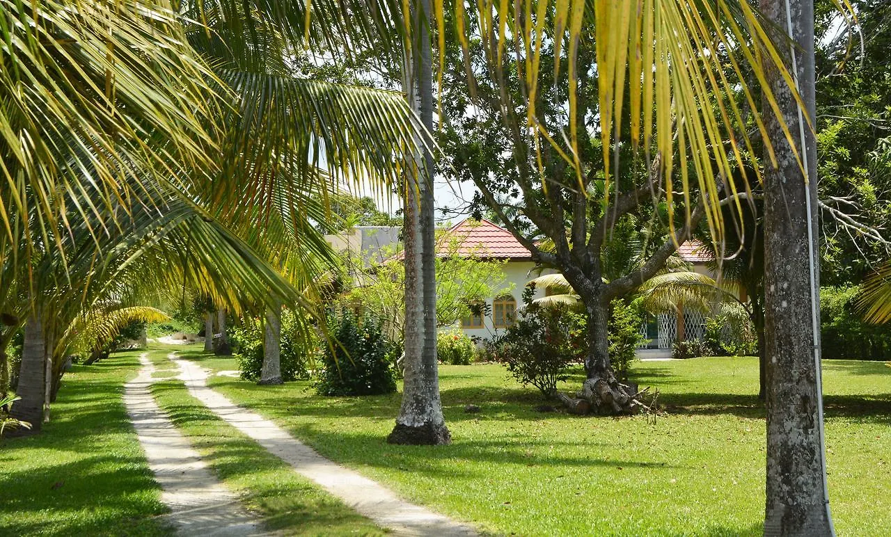 Cozy Coco Guest House Negril